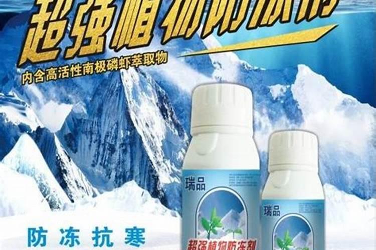 你们在菜市场买到坏的水果是怎么处理的呢？