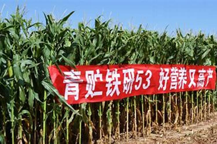 含腐植酸水溶肥料配方