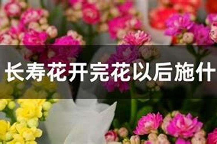 金银花用什么叶面肥好