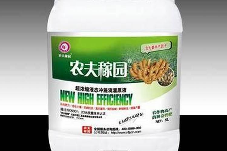 大姜种植后头两次浇水应怎么冲施肥料？