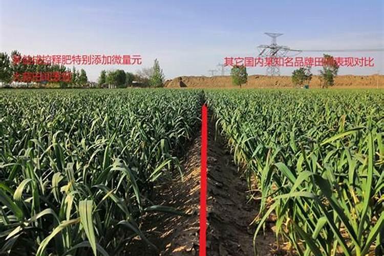 大蒜控释肥哪个牌子好