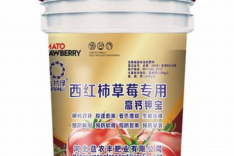 我们项目在重庆我们有几颗中东海枣树,叶片枯黄,应该不是缺水缺肥,哪...