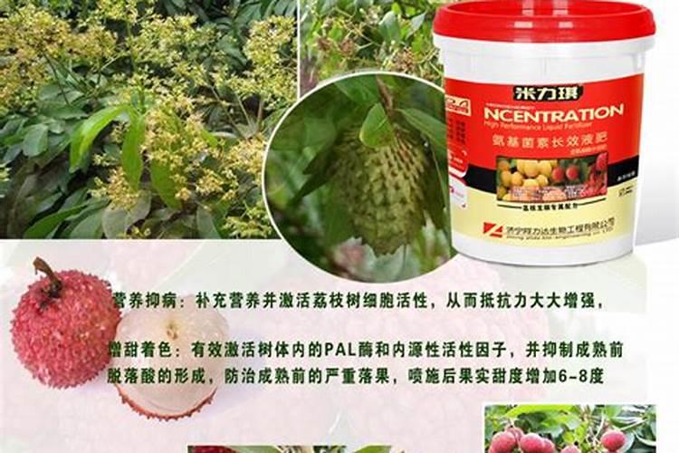 龙眼落果怎么办