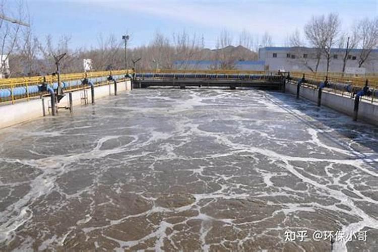 养君子兰浇什么水,才能苗壮开花鲜艳？