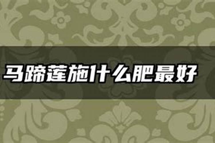 现在姜种催芽都用什么杀菌药