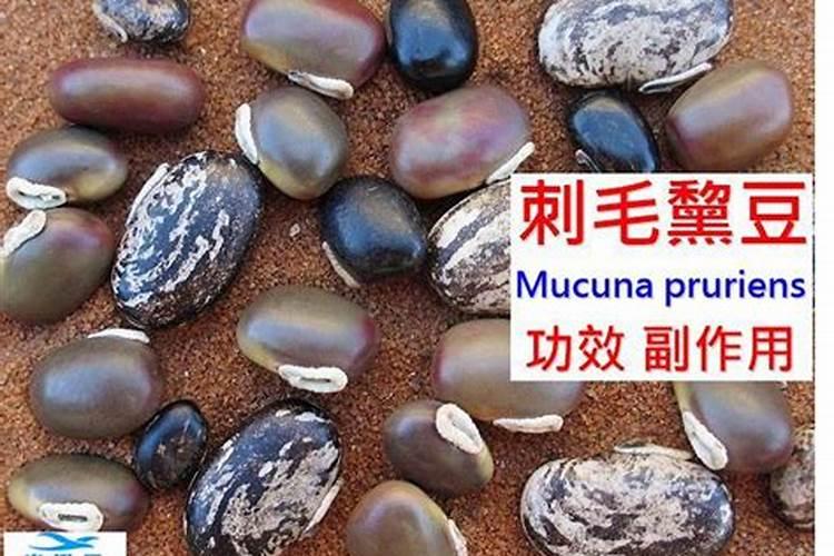 日化品牌都有哪些？