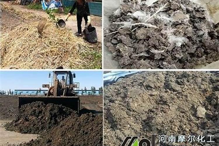 有机水溶肥是什么肥料