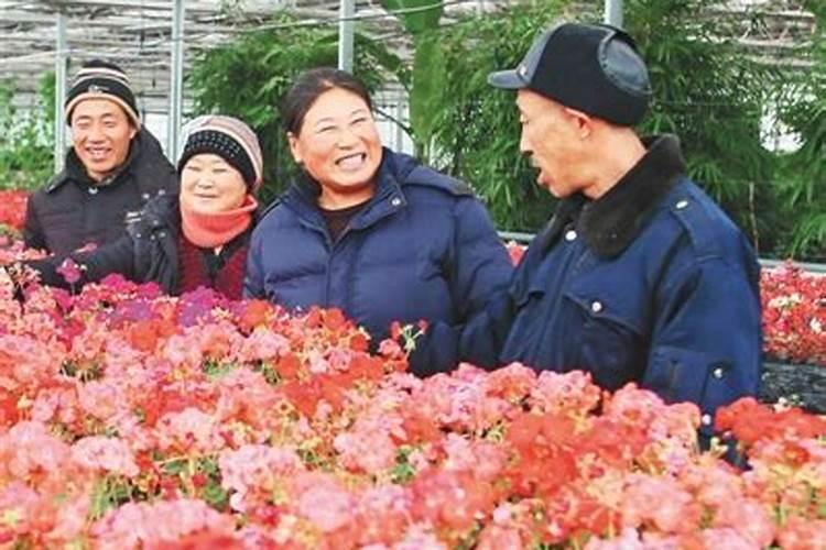 花卉专用肥料;哪儿能买到正品的花肥