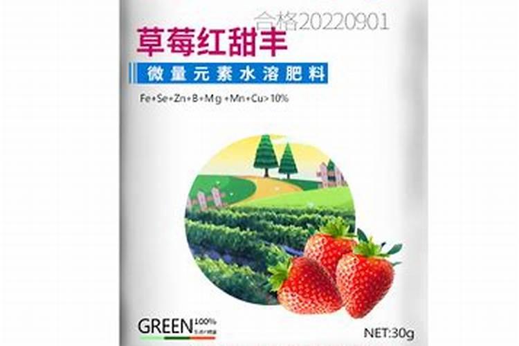 廉江美景草莓园多少钱一斤？