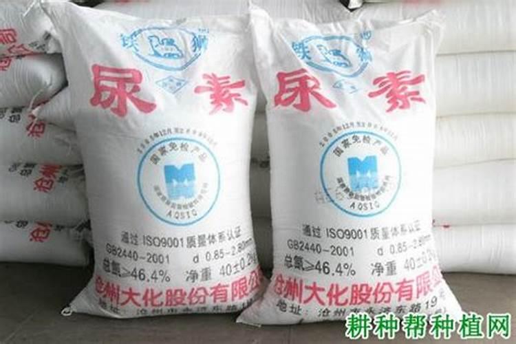钾肥是什么肥料