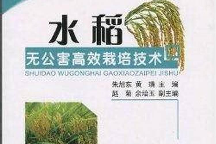 水稻叶面肥哪一种最佳