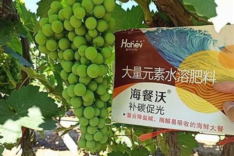 台湾净水器哪个牌子好