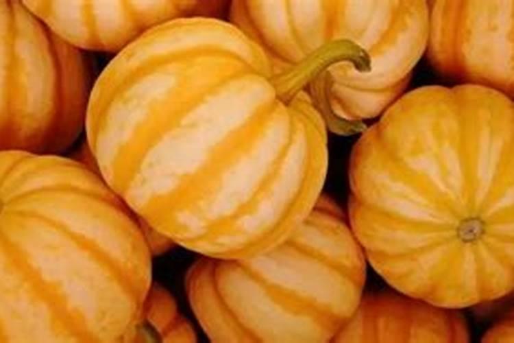 控释肥特点
