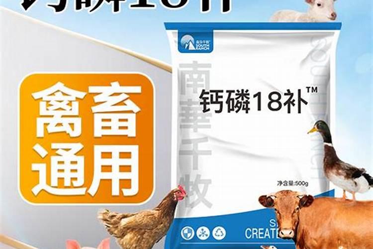 鸟粪可以给兰花施肥吗？