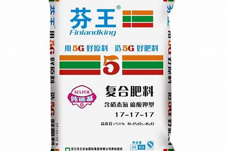 菠萝长在地上还是长在树上