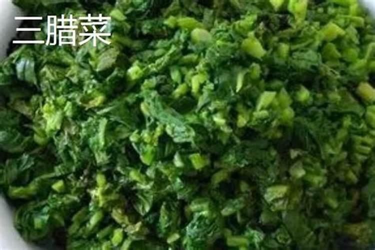 红菜苔种植时间和方法