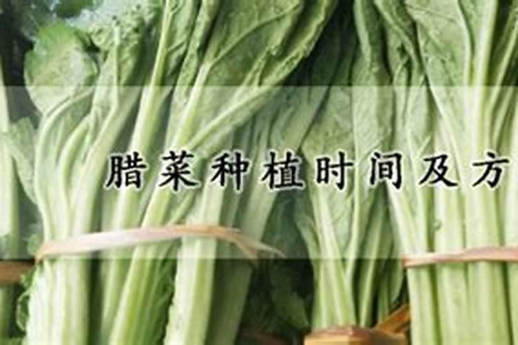 干藠头的食用方法