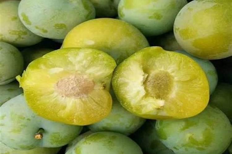 种植李子苗为什么会导致后期缺素？厚强李子园为您解答