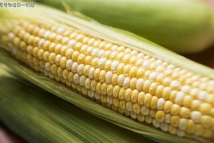 生玉米面能挡肥料上葡萄吗？