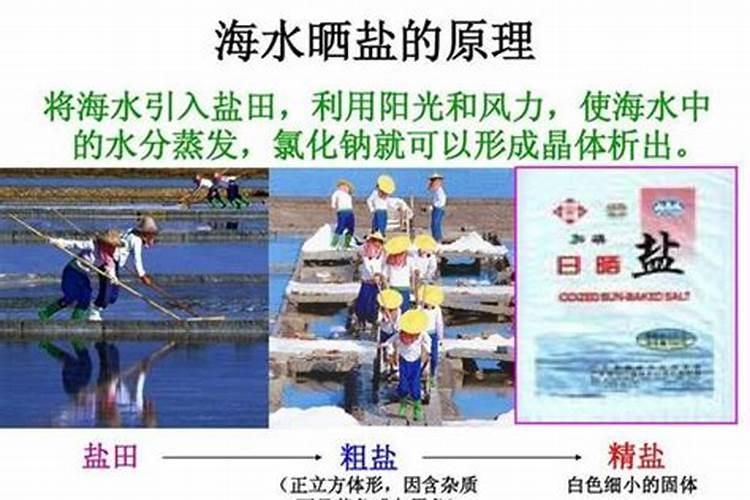 甜瓜的三个最佳肥料