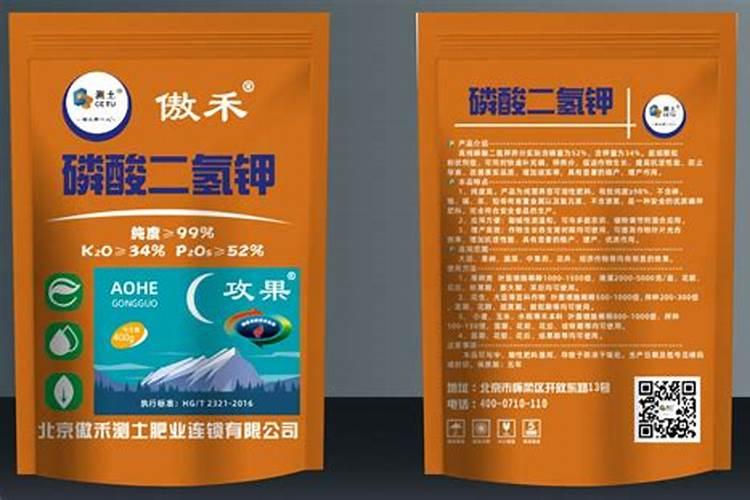 高杆月季养殖方法和注意事项