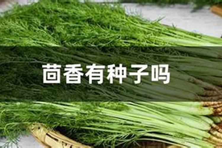 蔬菜为什么要补充钙肥