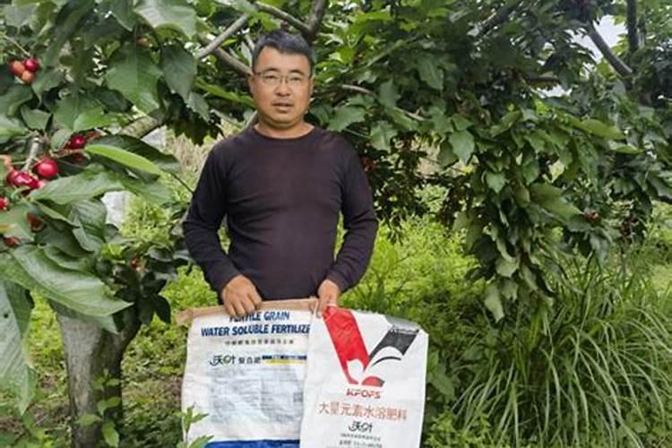 红掌用奥绿肥哪个型号