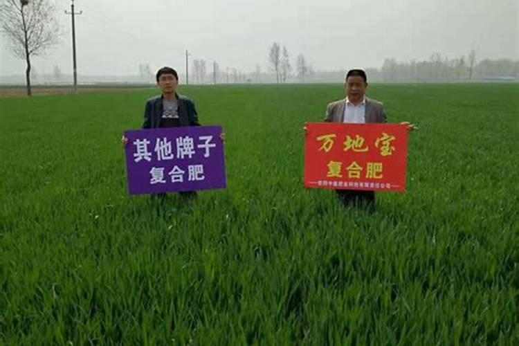 长沙有什么特产,长沙特产排行榜