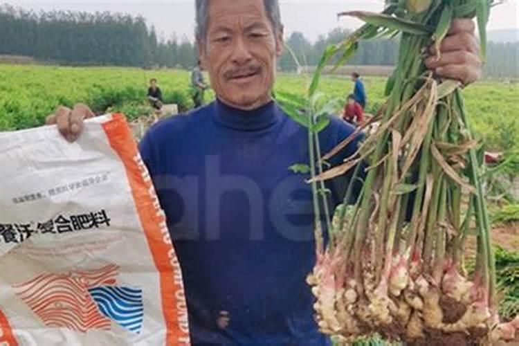 家里养花,生蜜虫是什么原因？