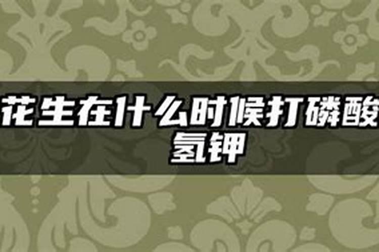 花生施什么肥才能高产 什么时候施肥好