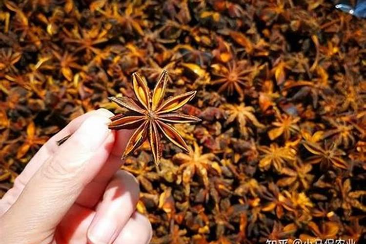 栽茄子苗的时候需要用底肥吗