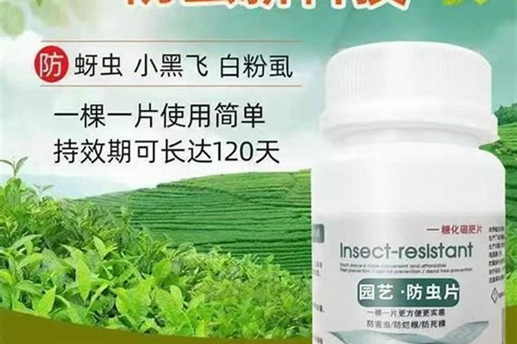 为什么树叶腐烂不会发臭