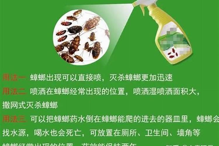 叶面肥和根部追肥有什么区别 叶面肥料可以代替根部施肥吗