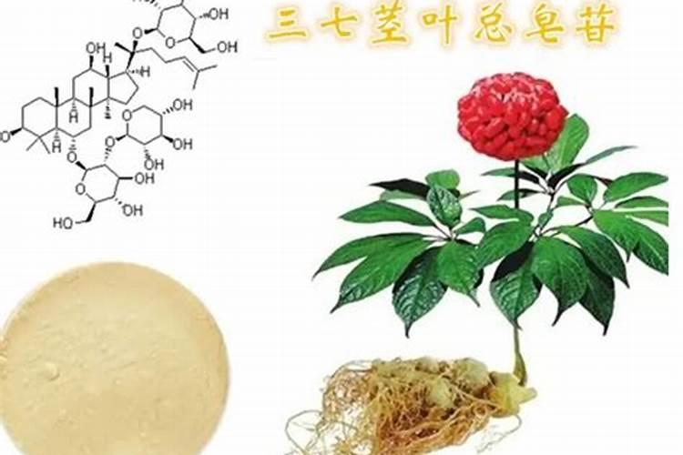 制药废渣的处理方法