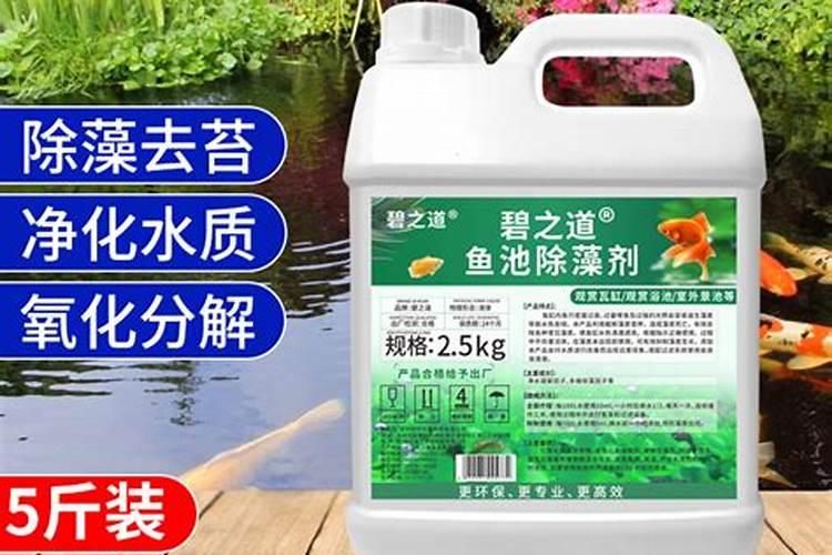 黄豆被水淹了叶子发黄了该怎么办