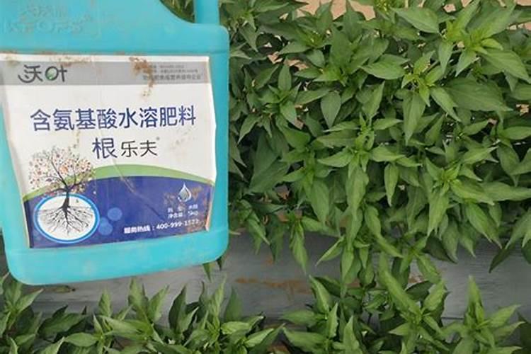 生根剂配方