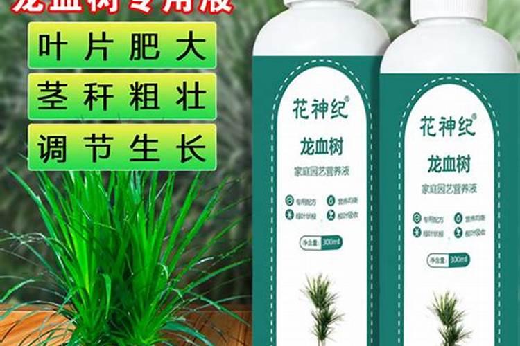 仓鼠窝能放苔藓吗？有什么作用？