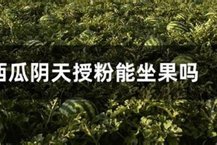 在对西瓜进行叶面施肥时,有哪些问题是需要注意的？