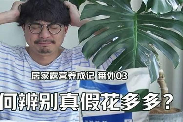 胡萝卜如何施肥最科学 选择什么肥料好