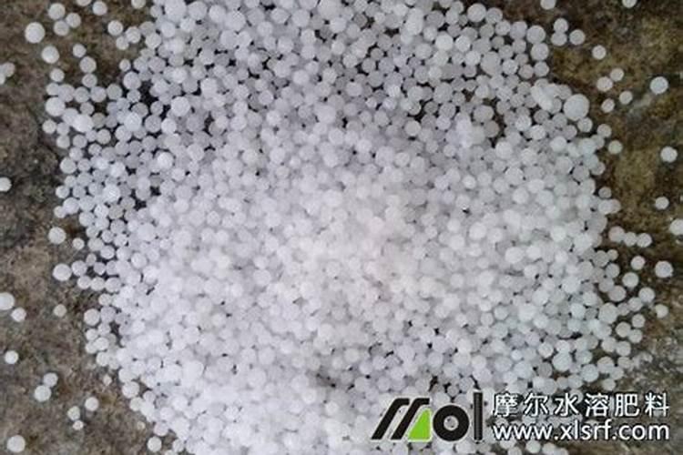 辣椒用什么肥料长得又肥又壮