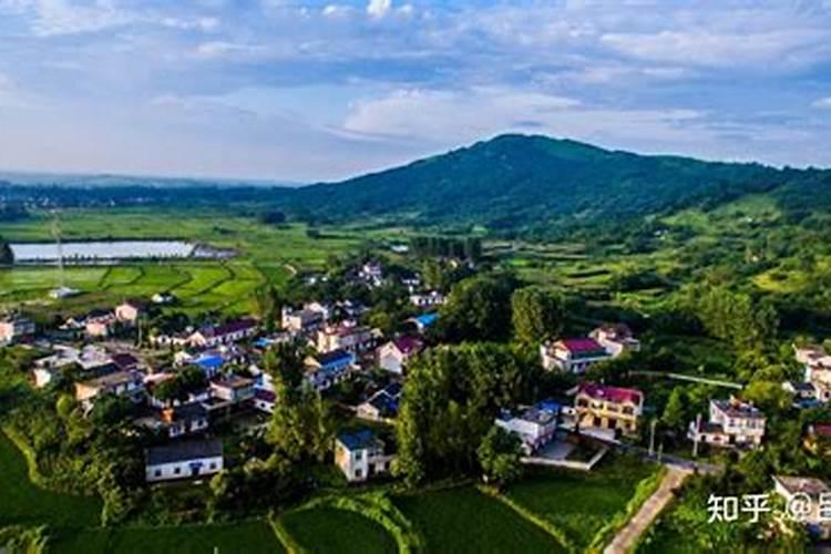 什么东西含磷可以做肥料、在家怎样自制磷肥