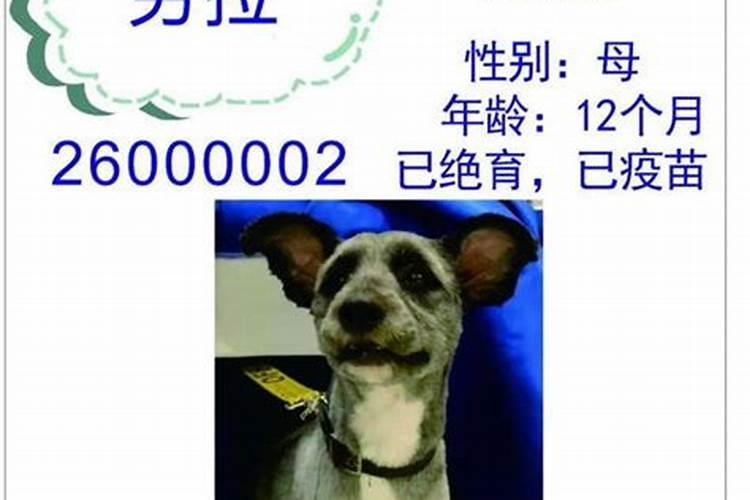 肥东经济开发区有哪些公司