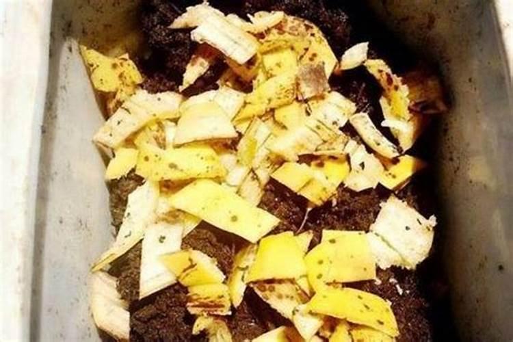 葡萄酒的渣有什么用途