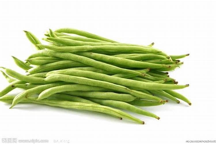 请问老师四季豆施什么肥料比较好 谢谢