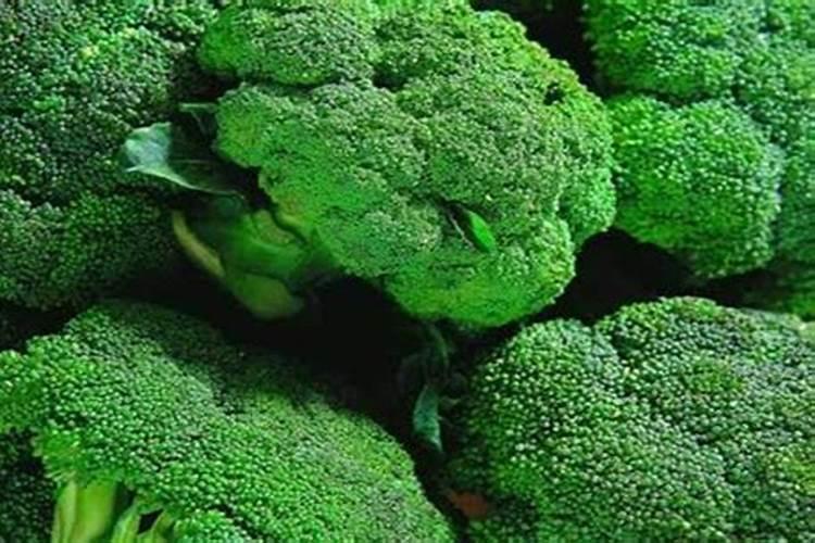 西兰花追肥用什么肥料好