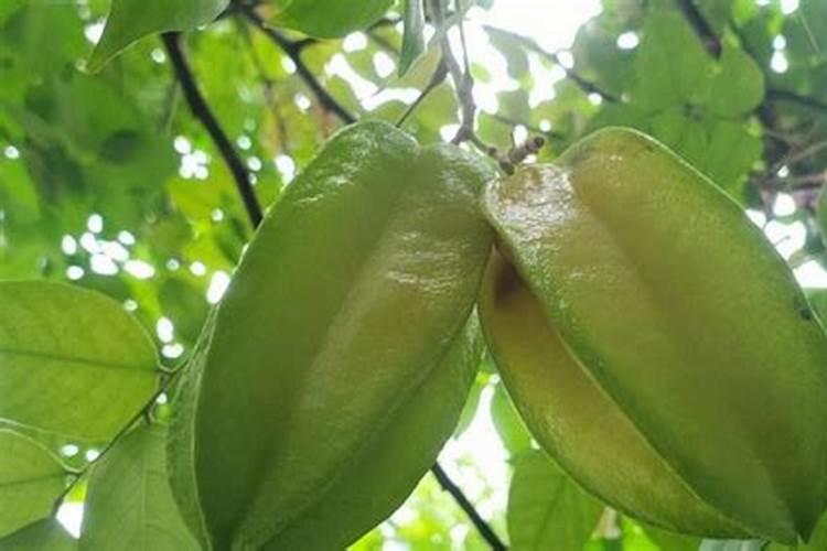 磷肥在土壤中保持多久肥效