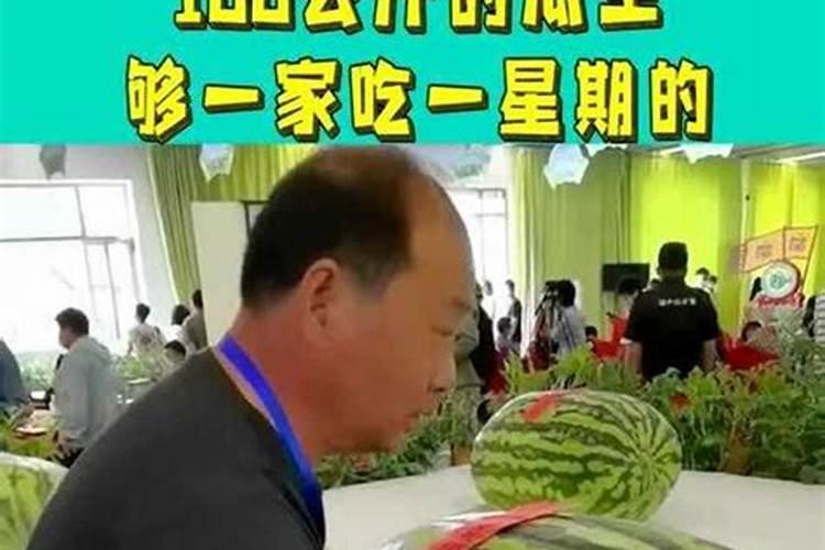 西瓜种植需要什么条件？