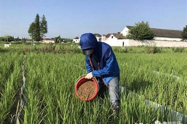微量元素肥料在植物体内的作用及施用方法？