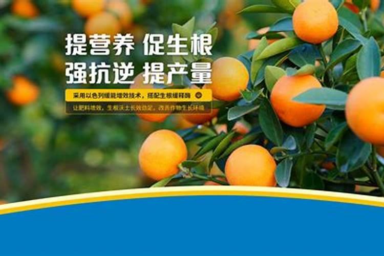 30斤水放多少硼肥