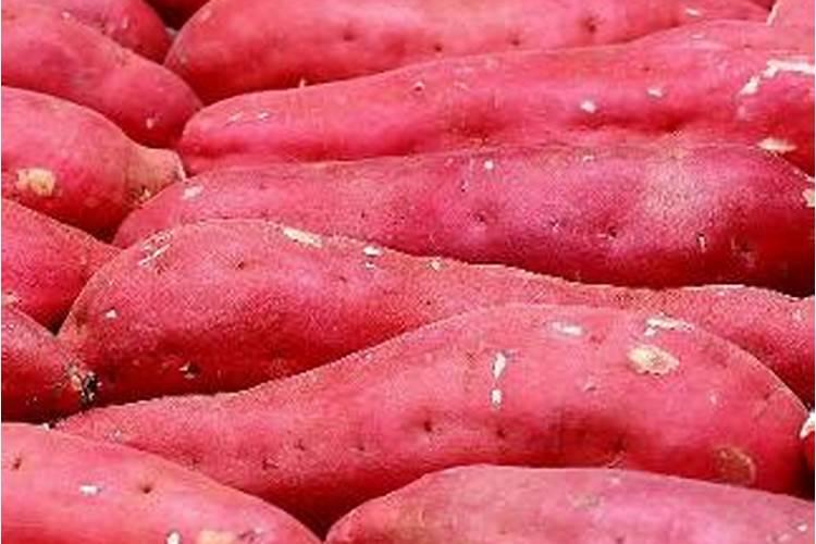 红薯用什么肥料最好